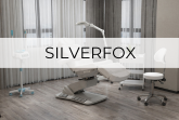 Silverfox1